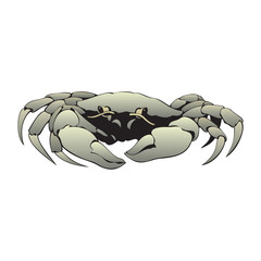 funny cartoon crab for you design isolated on a white background in EPS10