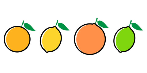 Citrus fruits icon set flat style. Vector eps10