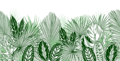 Endless horizontal border with green tropical palm and ornamental leaves.