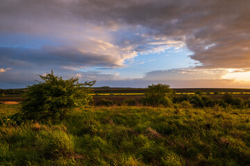 Spring meadow after rain, cloudy evening pre sunset sky, rural hills and fields in far. Natural seasonal, weather, climate, countryside beauty concept scene.