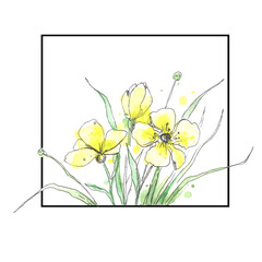 Yellow flowers in square painted by watercolor isolated on white