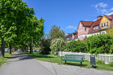 Lilac blooming in the gardens of the English style townhouses along the Southern Promenade. Norrköping is a historic industrial town.