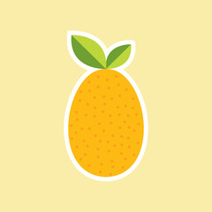 Kumquat, fruit on color background. Flat design style. vector illustration.