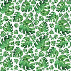 Monstera philodendron seamless pattern. Tropical jungle green monstera leaf on white background. Watercolor hand drawing illustration. Perfect for card, poster, banner, wallpaper. Botanical art.