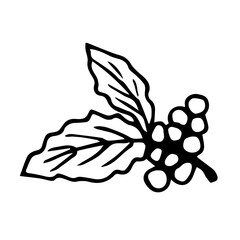 Hand-drawn black outline simple vector drawing. Branch with coffee berries, leaves isolated on a white background. element of nature, product, crop, growing, label.