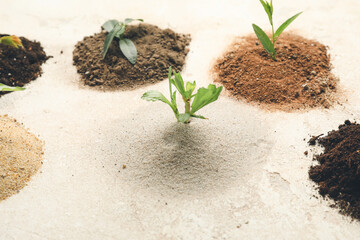 Different types of soil with green plants on light background