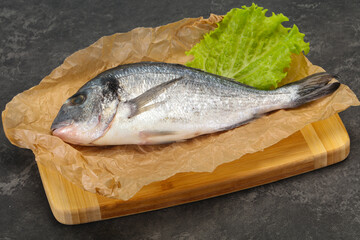 Raw Dorada fish  for cooking