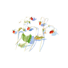 Watercolor of wild strawberry with blue shadow isolated on white background. Beautiful hand painted illustration perfect for printing, fabric, textiles, scrapbooking. Cute picture of summer design.