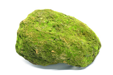 Moss green on the rock on white background.