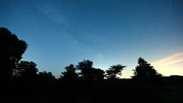 Timelapse of stars in a clear night sky with silhouette trees in the foreground