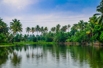 Breathtaking scenery of the Backwaters in Kerela near the Kumarakom Lake Resort