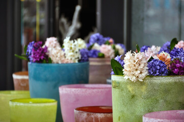 Flowers in containers for sale at shop