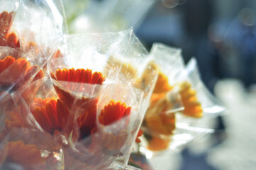 Close up of flowers for sale at shop