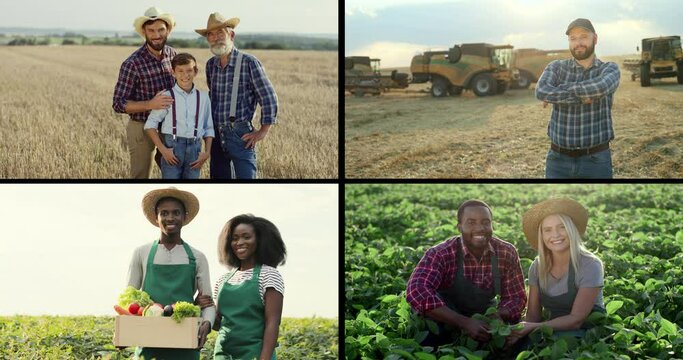 Multiscreen on happy smiling people of diverse ethnic and age groups on farm in village. Farmers with vegetables in basket. Collage of joyful country people of different races in field. Farmer concept