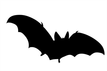 Vector silhouette of bat on white background. Symbol of animal.