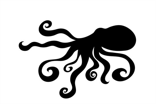 Vector silhouette of octopus on white background. Symbol of ocean animal.