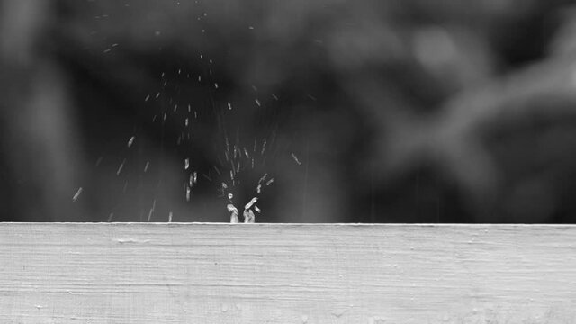 Water drop falling to the wall,  nature background.raindrop drips and splashing.black and white video