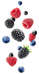 Isolated flying berries. Blackberry, blueberry, raspberry and currants isolated on white background with clipping path