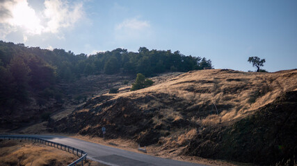 Road winding through golden hills