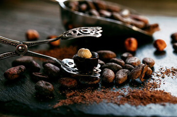 Chocolate candy with hazelnut on top stand on open dessert tongs beside bulk measuring scoop with cocoa beans. Candy on black stone stand.