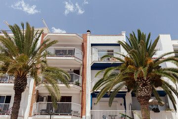 Low angle view of palm trees near buildings with white facades in Catalonia, Spain