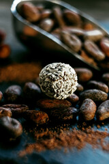Coconut candy around cocoa beans and cocoa powder. Closeup Chocolate coconut ball on black stone stand