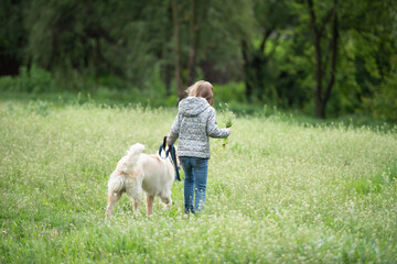 Little girl with dog on blooming field