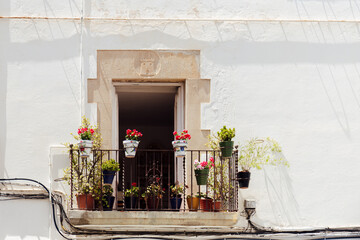 Blooming flowers in flowerpots on balcony of white house in Catalonia, Spain