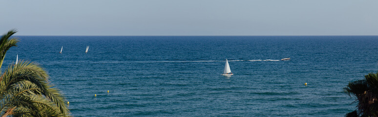 Panoramic shot of palm trees on coast and sailboats in sea in Catalonia, Spain