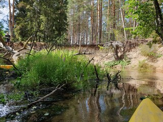 Canoeing in the river full of trees in the water