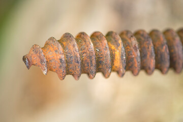 rusty old screw with blurred background
