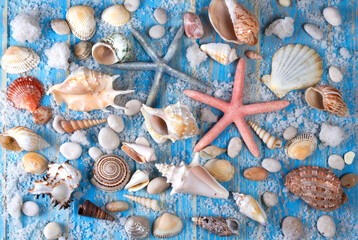 Background of seashells and starfishes on blue wooden planks