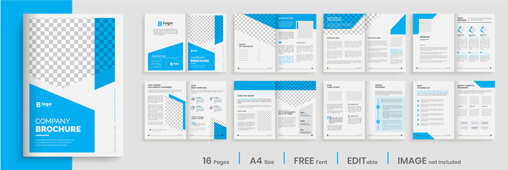 Brochure template layout design, blue brochure design, annual report, 16 pages, editable brochure template layout.