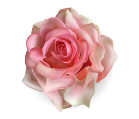 Realistic rose isolated with white background, beautiful pink flower vector illustration