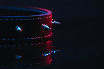 collar and chain elements of the BDSM subculture