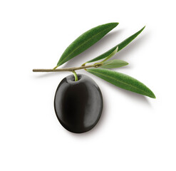 Oliva negro con hojas , de cerca. Black olive with leaves, close up
