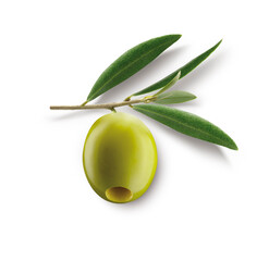 Oliva verde con rama y hojas sobre fondo blanco. Green olive with branch and leaves on white background.