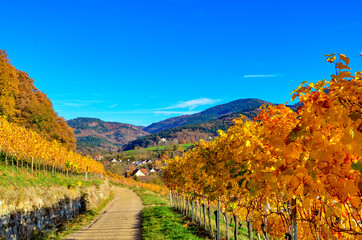 Badenweiler im herbst	