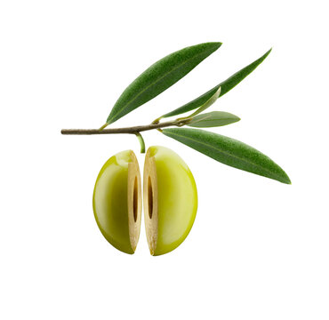 aceituna verde cortada con rama y hojas sobre fondo blanco. green olive cut with branch and leaves on white background.