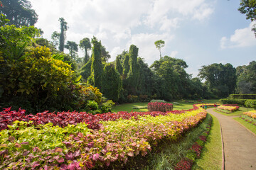 spring in the park in the Kandy, Sri Lanka