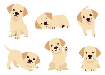 The collection of puppy labrador retriever in many action. Graphic resource about labrador retriever for graphic, content, etc. 
