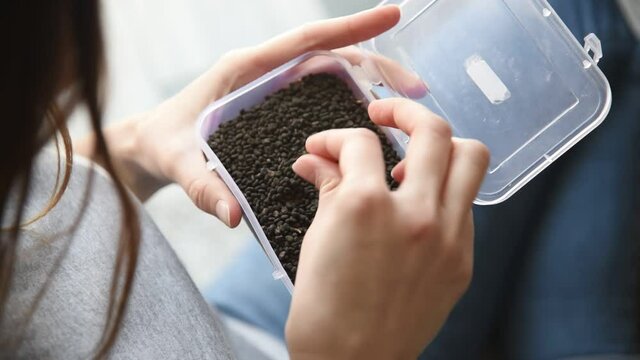 Bakuchiol seeds in plastic box in hands of woman.