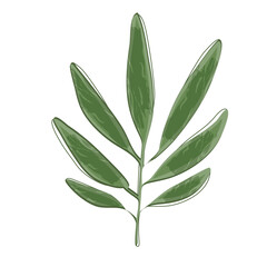 Green stem with leaves texture vector image