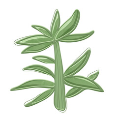 Bamboo sprout with leaves and texture vector image