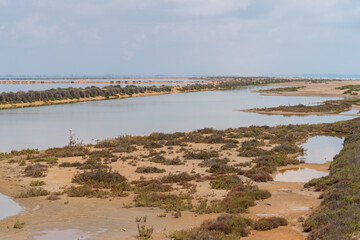 DELTA DE L'EBRE, TARRAGONA, CATALUNYA, SPAIN - JUNE 5, 2019: Beach of 