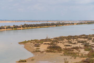 DELTA DE L'EBRE, TARRAGONA, CATALUNYA, SPAIN - JUNE 5, 2019: Beach of 