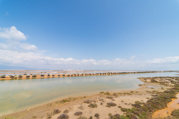 Wetlands of the Ebro delta. Bird breeding nature reserve.