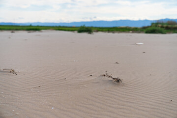 DELTA DEL EBRE, TARRAGONA, CATALUNYA, SPAIN - JUNE 5, 2019: Beach of 