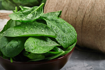 Fresh, crispy spinach leaves, freshly picked with morning dew on the leaves. Spinach rich in useful materials and iron.