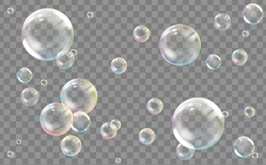 Realistic transparent colored soap or water bubble